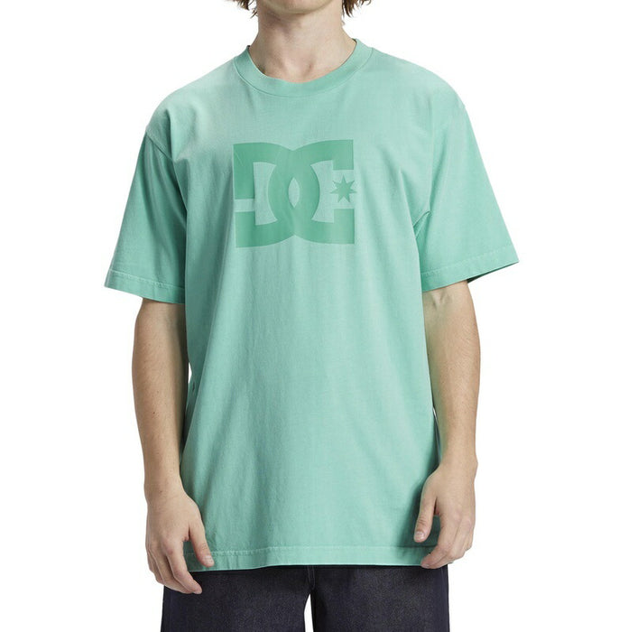 DC Shoes DC STAR PIGMENT DYE HSS Tシャツ メンズ