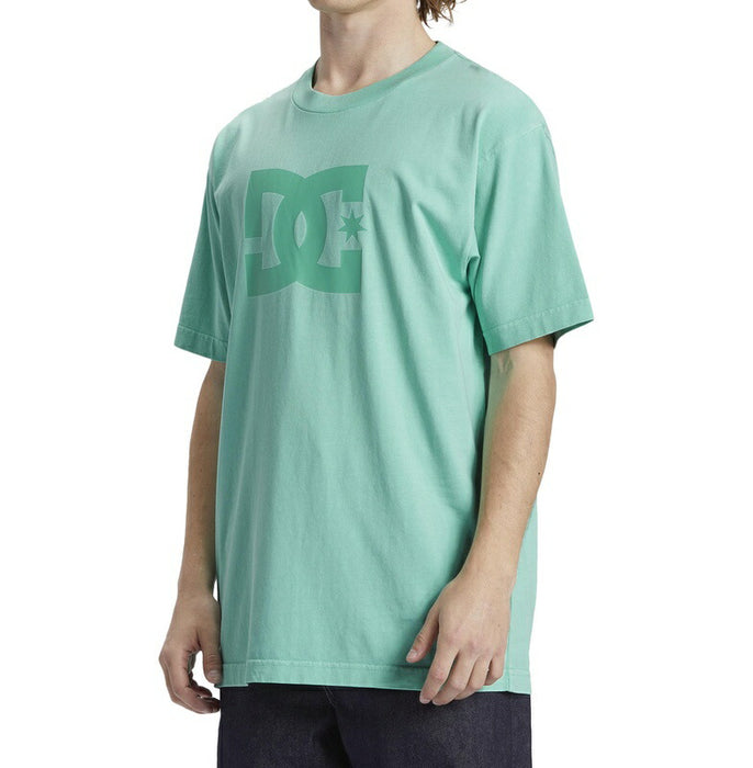 DC Shoes DC STAR PIGMENT DYE HSS Tシャツ メンズ