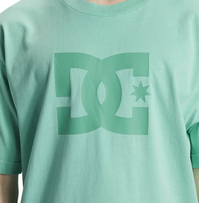 DC Shoes DC STAR PIGMENT DYE HSS Tシャツ メンズ