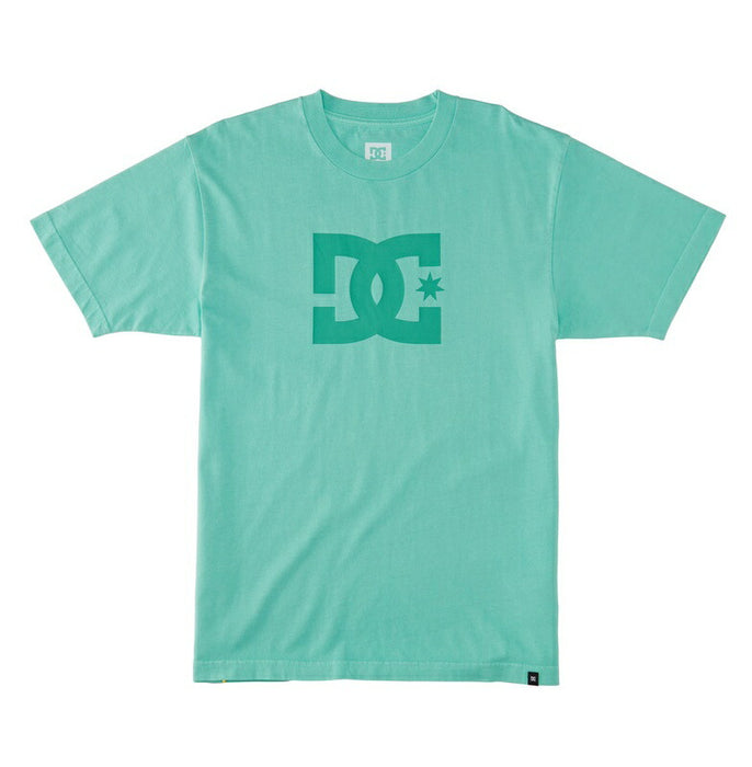 DC Shoes DC STAR PIGMENT DYE HSS Tシャツ メンズ