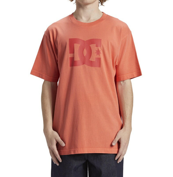 DC Shoes DC STAR PIGMENT DYE HSS Tシャツ メンズ