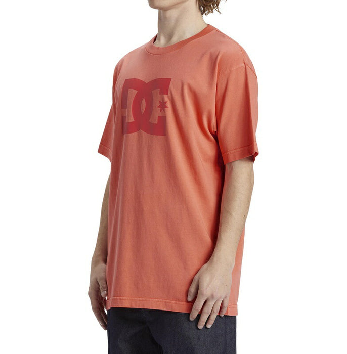 DC Shoes DC STAR PIGMENT DYE HSS Tシャツ メンズ