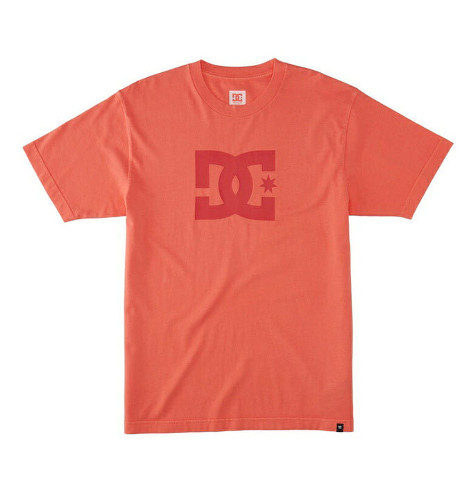 DC Shoes DC STAR PIGMENT DYE HSS Tシャツ メンズ