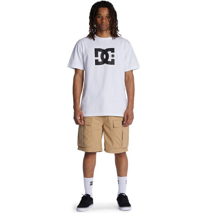 【オンラインストア限定】DC Shoes TUNDRA CARGO SHORT ショートパンツ メンズ