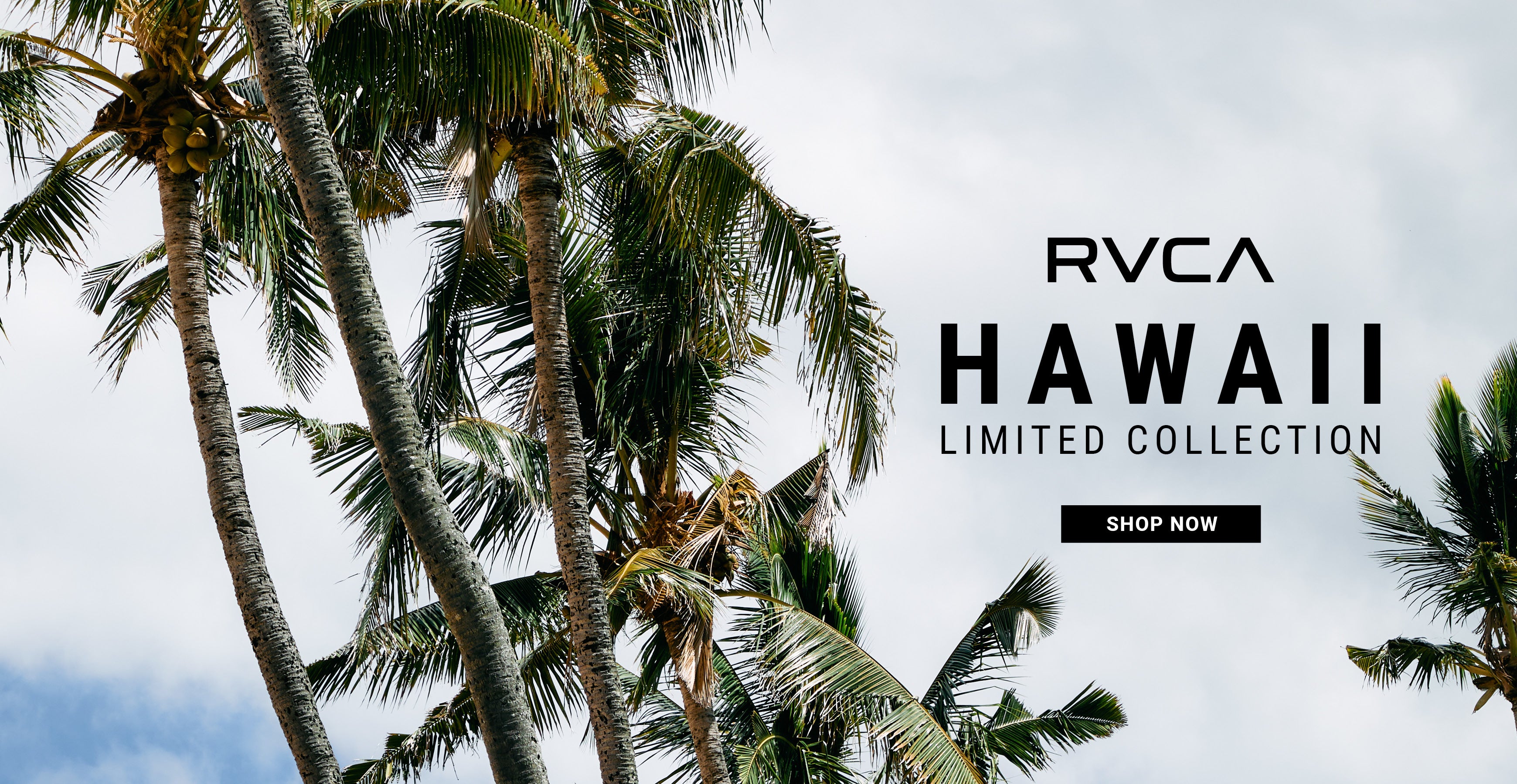 RVCA(ルーカ)公式オンラインストア - RVCA