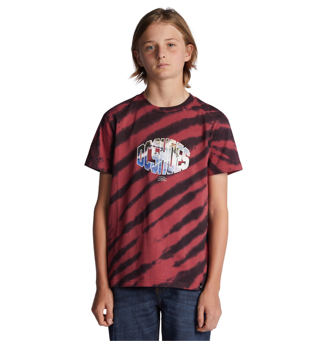 【BUY 2 20%OFF】【OUTLET】DC Shoes WES SS BOY キッズ Tシャツ