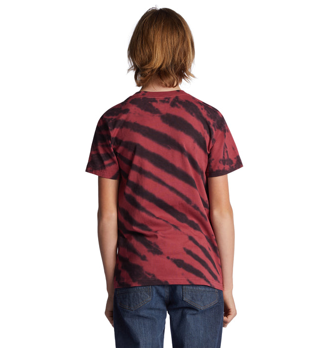 【BUY 2 20%OFF】【OUTLET】DC Shoes WES SS BOY キッズ Tシャツ