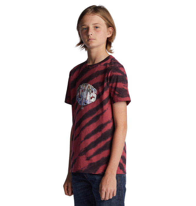 【BUY 2 20%OFF】【OUTLET】DC Shoes WES SS BOY キッズ Tシャツ