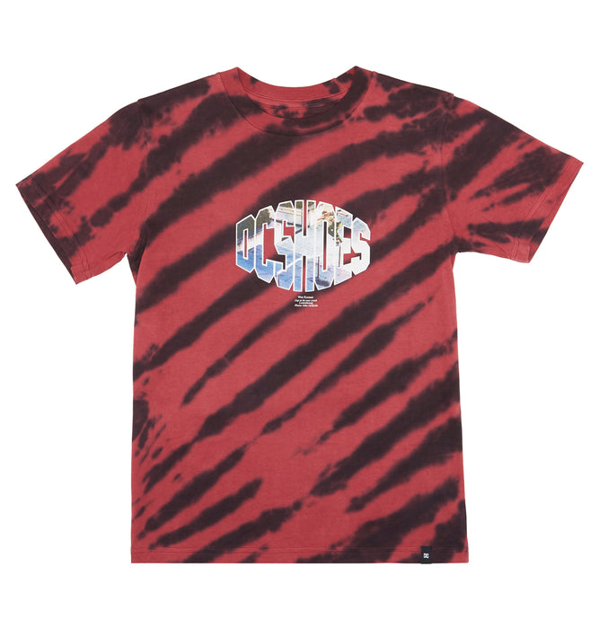 【BUY 2 20%OFF】【OUTLET】DC Shoes WES SS BOY キッズ Tシャツ